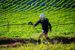 BIB: 
                            <button type="button" onclick="openModal(19160289)" class="btn btn-primary btn-sm float-right btn-popup" data-toggle="modal" data-target=".modal-high-quality">
                        <i class="fas fa-shopping-cart"></i> Add to Cart
                    </button>
                                            <button type="button" onclick="isThisMe(19160289, true)" class="btn btn-success btn-sm float-right btn-popup btn-isme hidden" data-toggle="tooltip" data-placement="bottom" title="นี่คือรูปของคุณใช่ไหม คลิกที่นี่เพื่อเอาเข้าอัลบั้ม">
                        <i class="fas fa-plus"></i> Add to album
                    </button>
                    <button type="button" onclick="isThisMe(19160289, false)" class="btn btn-warning btn-sm float-right btn-popup btn-isnotme hidden">
                        <i class="fas fa-ban"></i> Remove from album
                    </button>